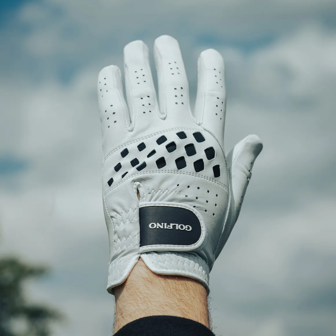 golfino_mens_cabretta_gol_2.webp GOLFINO Men's Cabretta Golf Glove
