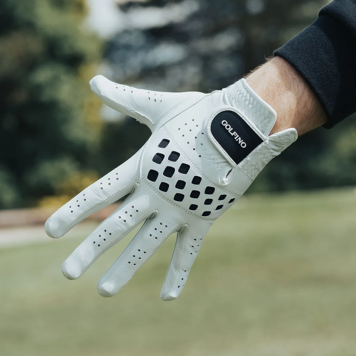 golfino_mens_cabretta_gol_3.webp GOLFINO Men's Cabretta Golf Glove