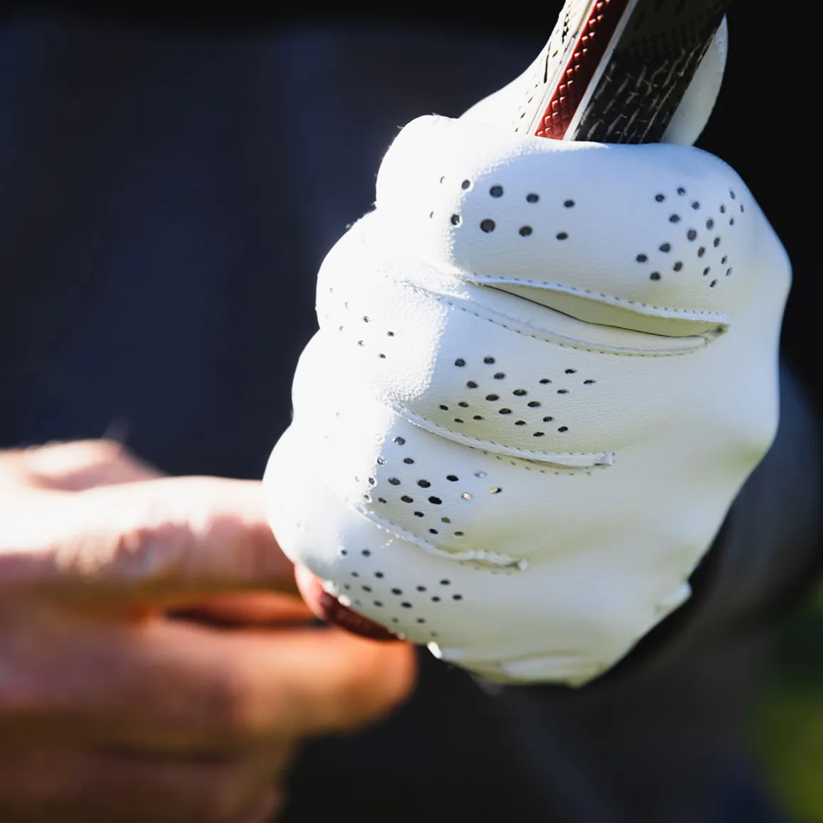 payntr_mens_x_golf_glove_3.webp PAYNTR Men's X Golf Glove