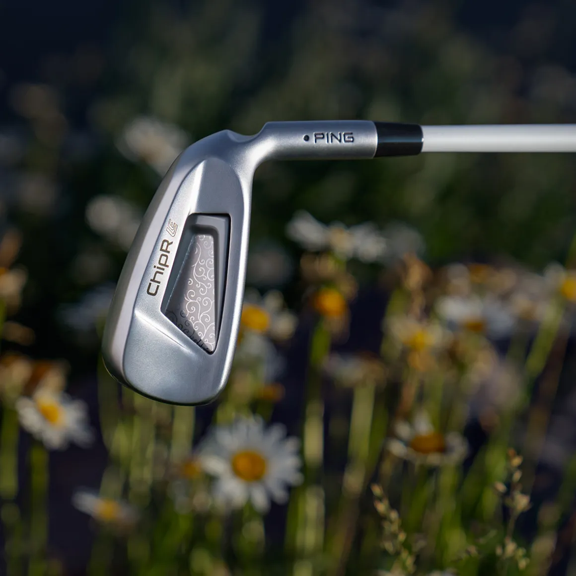 ping_ladies_chipr_le_grap_6.webp PING Ladies ChipR Le Graphite Golf Chipper - Custom Fit