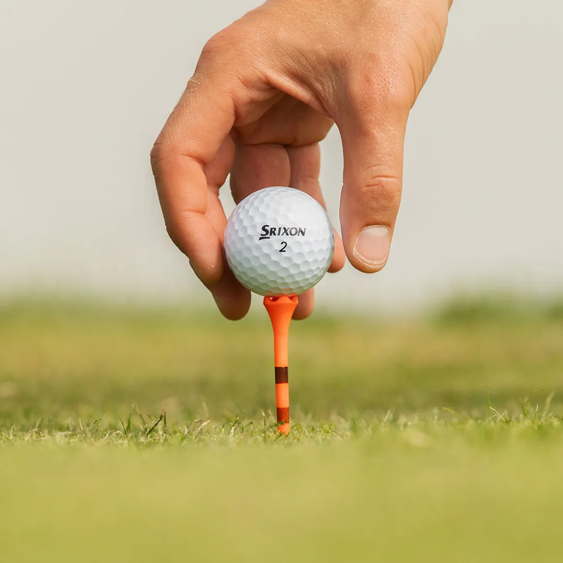 srixon_qstar_tour__golf_b_6.webp Srixon Q-Star Tour 12 Golf Ball Pack