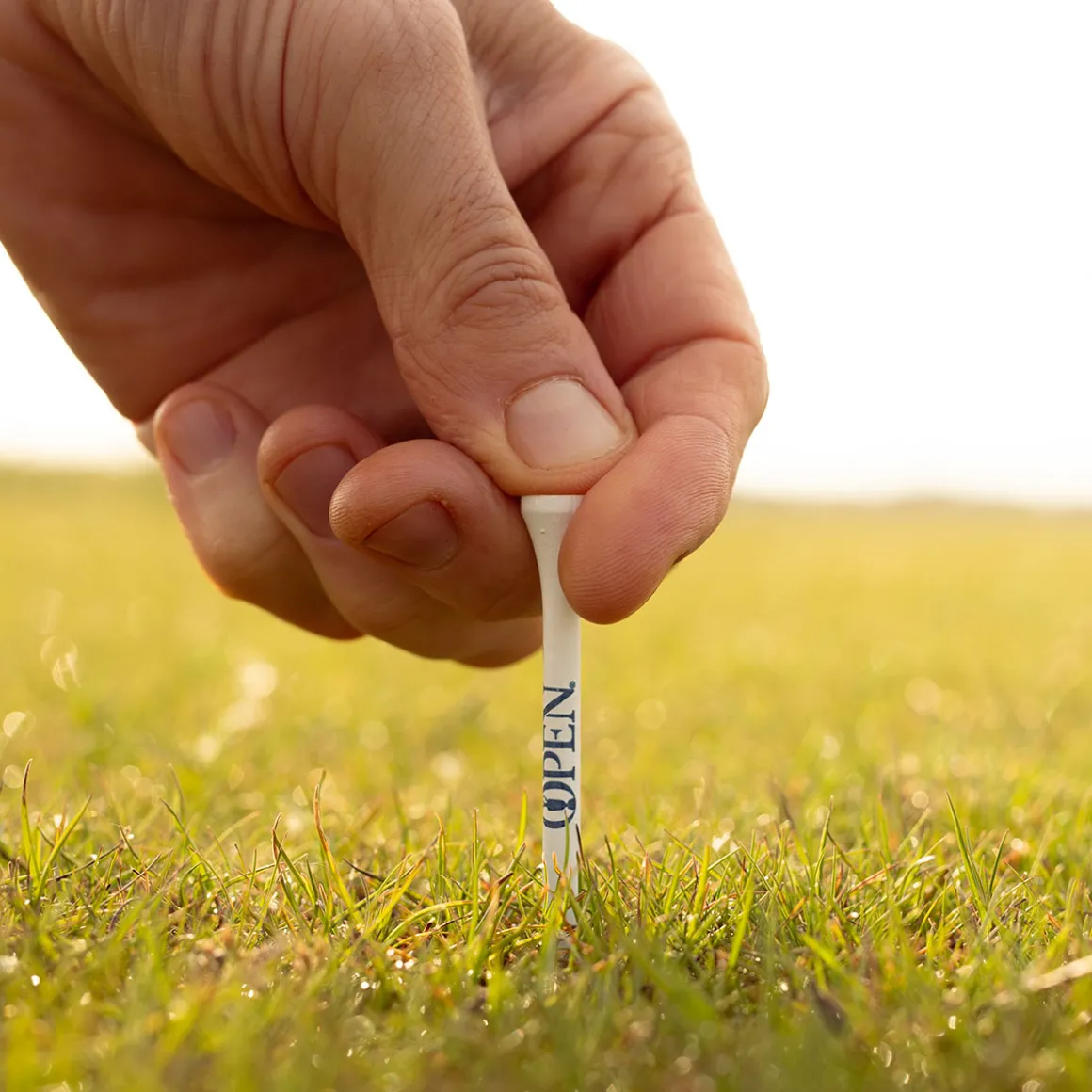 stromberg_the_open_wooden_2.webp Stromberg The Open Wooden Golf Tees - 30 Pack