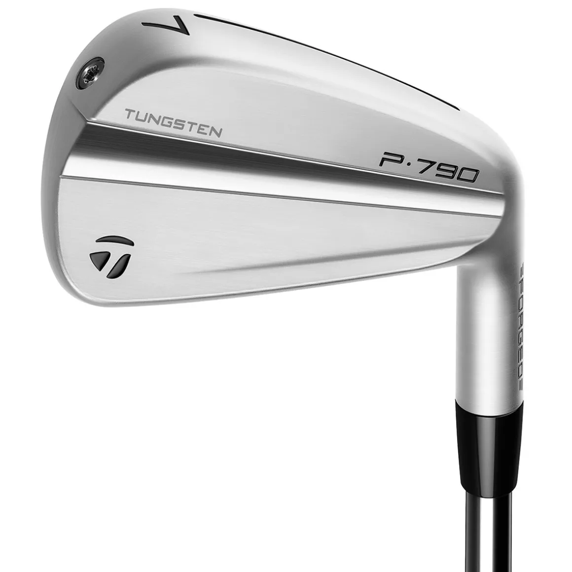 TaylorMade P790 Steel Golf Irons