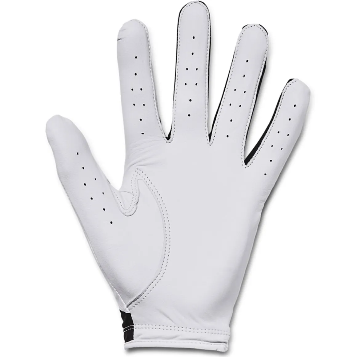 Under Armour Men's Iso-Chill Golf Glove