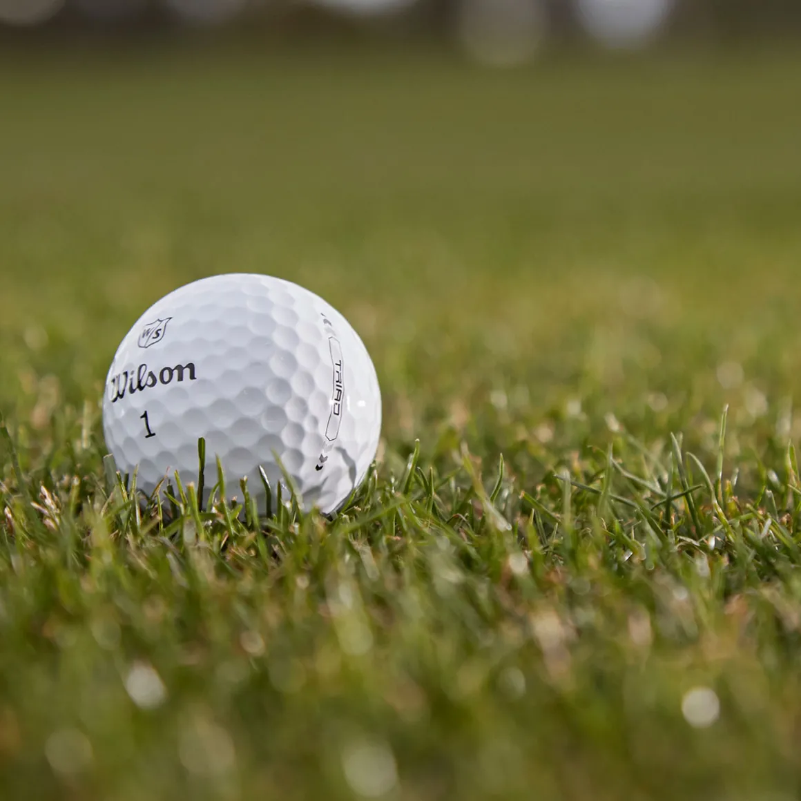 wilson_triad__golf_ball_p_5.webp Wilson TRIAD 12 Golf Ball Pack